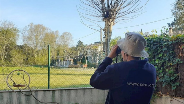 ep observacion de aves desde casa por el confinamiento para frenar el covid-e19
