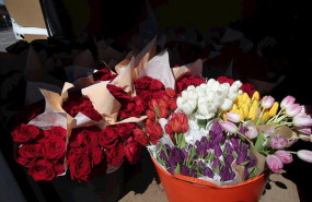 ep rosas y tulipanes enviado a los sanitarios y para decorar el hospital de campana en ifema donde
