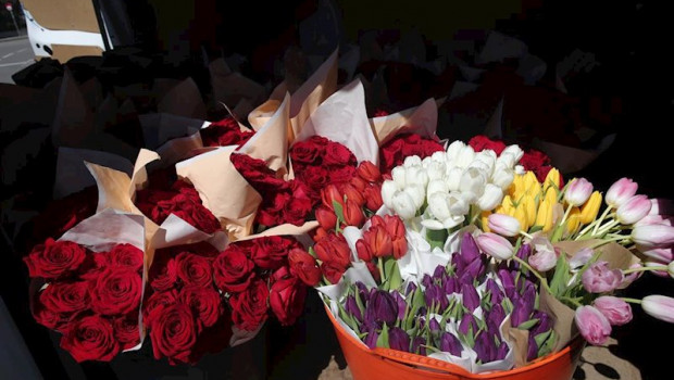 ep rosas y tulipanes enviado a los sanitarios y para decorar el hospital de campana en ifema donde