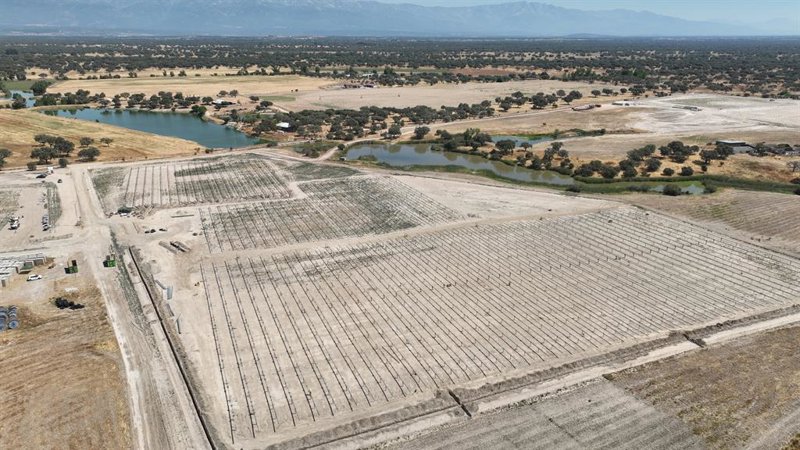 Audax Renovables construye una planta solar en Cáceres con una inversión de 17 millones