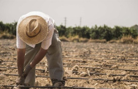 ep trabajador en el campo
