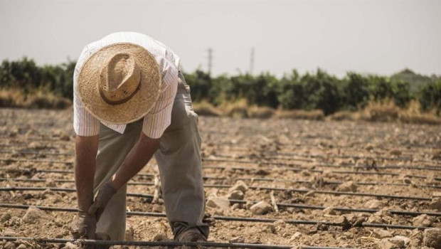 ep trabajador en el campo