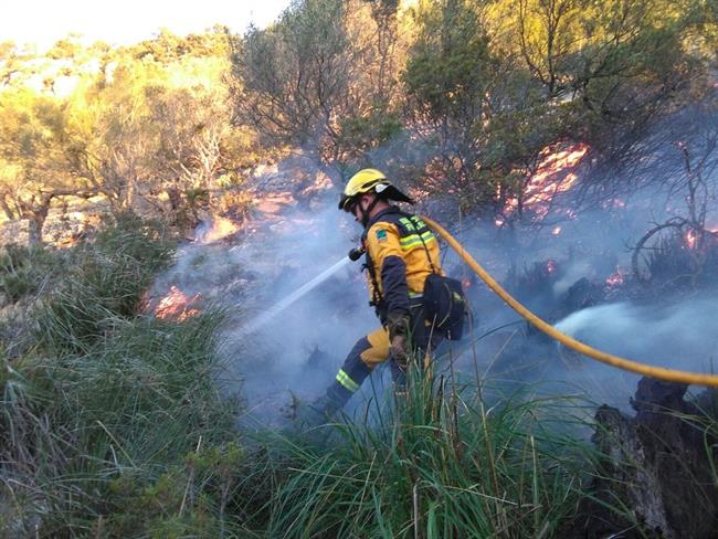Un agente del Ibanat trabaja en un incendio en Pollença | IBANAT - Archivo ep un agenteibanatenincendiopollena