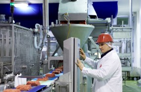 hilton food meat hilton food meat