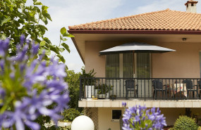 1571672408 localizaci n detalle dom sticoprimagas 1571672408 localizaci n detalle dom sticoprimagas