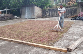 1591266351 cafe agricultor ethichub