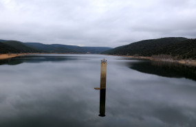 1609255230 presa de bele a 1609255230 presa de bele a