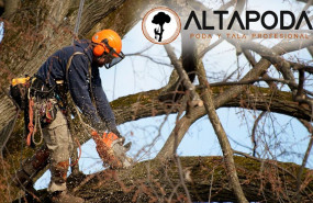 alta poda alta poda