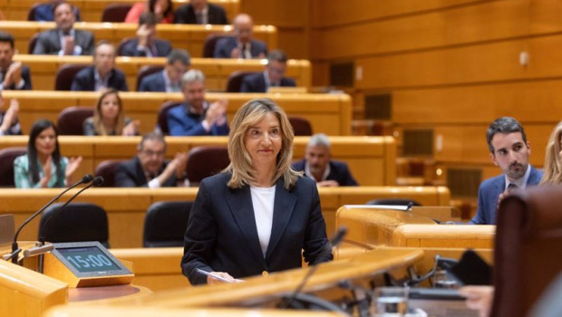 ep archivo   la portavoz del partido popular en el senado alicia garcia rodriguez durante una sesion