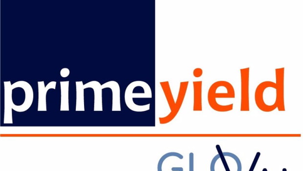 ep archivo   logo de prime yield