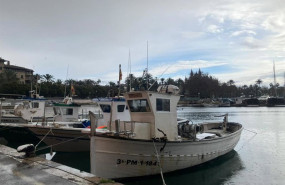 ep barcos de la flota artesanal de pesca de baleares amarrados este lunes en palma en senal de
