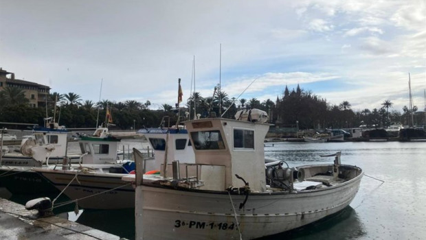 ep barcos de la flota artesanal de pesca de baleares amarrados este lunes en palma en senal de