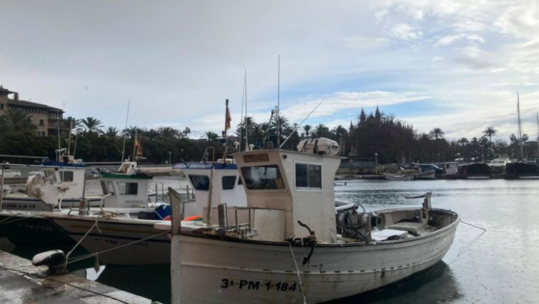 ep barcos de la flota artesanal de pesca de baleares amarrados este lunes en palma en senal de