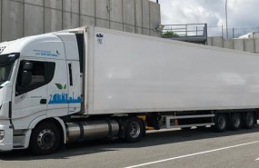 ep camiongas natualiveco