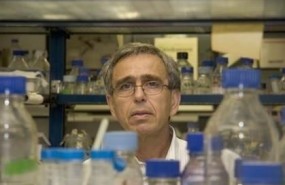 ep cientifico espanolcsic gines morata nombrado miembrola royal society