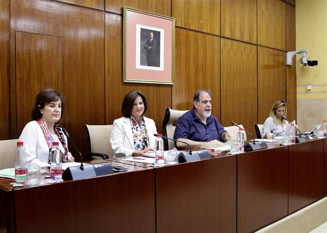 ep la consejera maria jose sanchez rubio comparecela comisionigualdad