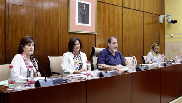 ep la consejera maria jose sanchez rubio comparecela comisionigualdad