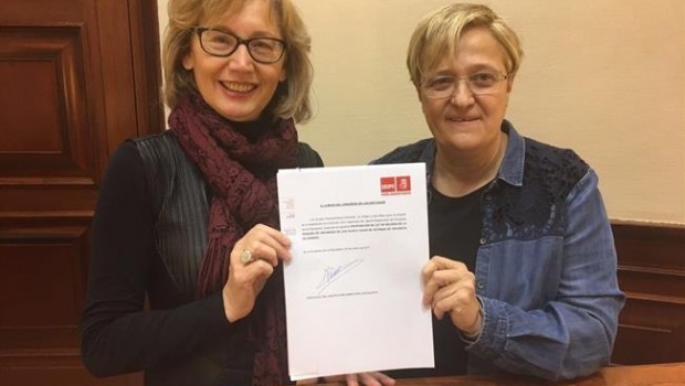 ep psoe presentaplhuerfanosviolenciagenero