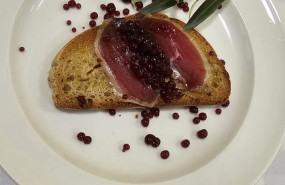 tapa marvao fantasia malufa tapa marvao fantasia malufa